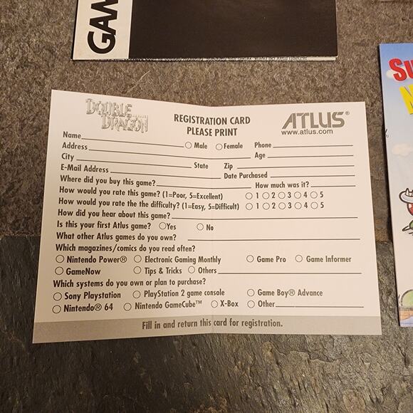 Game - Double Dragon Advance (CIB++) - GBA - Atlus - Picture 11 of 16